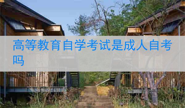 高等教育自学考试是成人自考吗