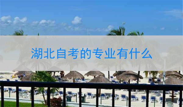 湖北自考的专业有什么