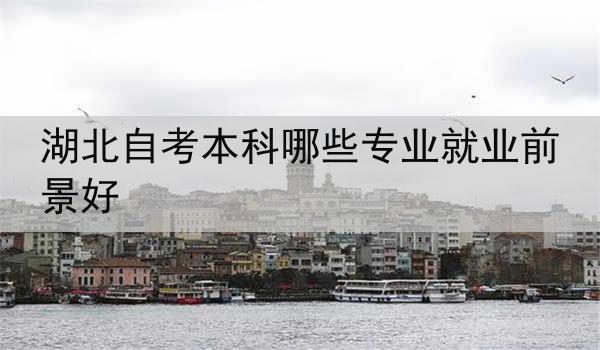 湖北自考本科哪些专业就业前景好