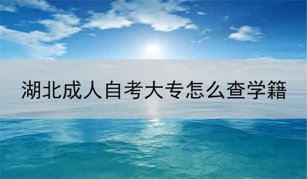 湖北成人自考大专怎么查学籍