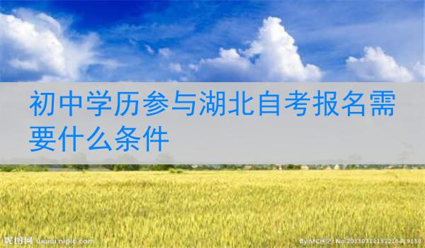 初中学历参与湖北自考报名需要什么条件