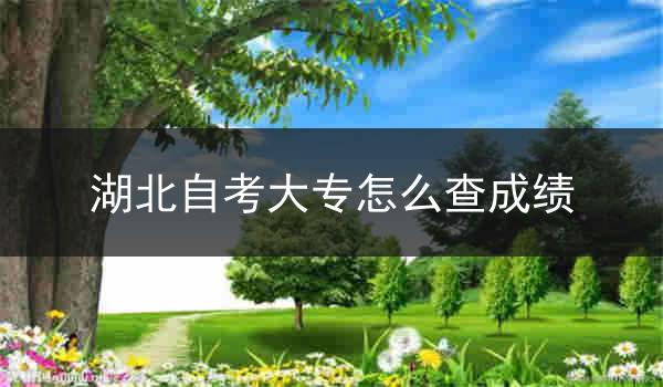 湖北自考大专怎么查成绩