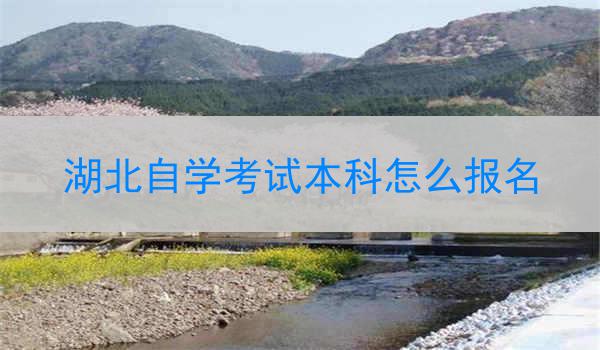 湖北自学考试本科怎么报名