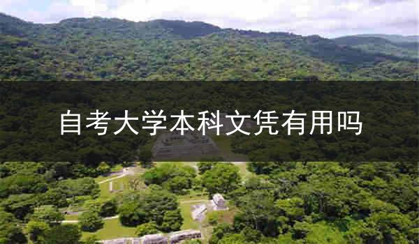 自考大学本科文凭有用吗