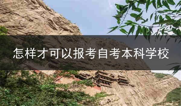 怎样才可以报考自考本科学校