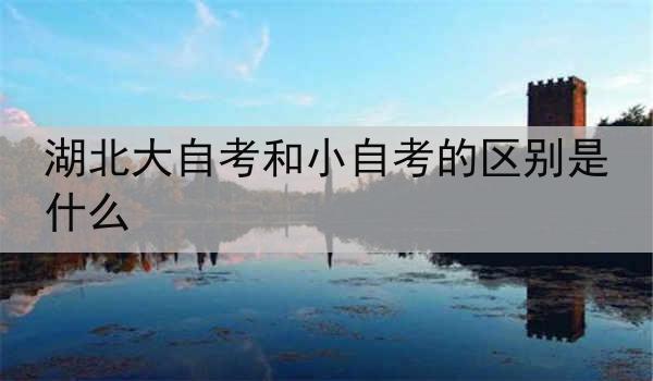 湖北大自考和小自考的区别是什么