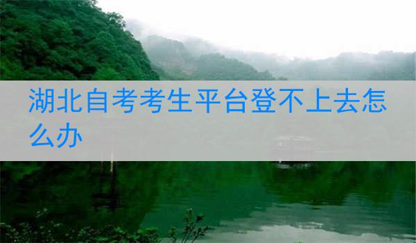 湖北自考考生平台登不上去怎么办
