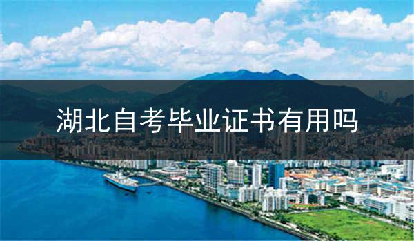 湖北自考毕业证书有用吗