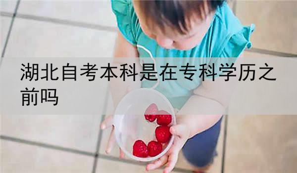 湖北自考本科是在专科学历之前吗