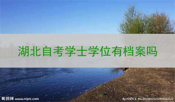 湖北自考学士学位有档案吗