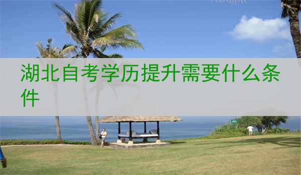 湖北自考学历提升需要什么条件