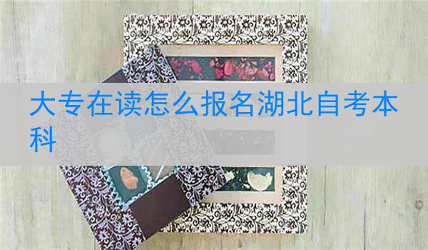 大专在读怎么报名湖北自考本科