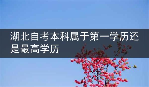 湖北自考本科属于第一学历还是最高学历