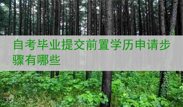 自考毕业提交前置学历申请步骤有哪些