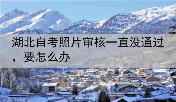 湖北自考照片审核一直没通过，要怎么办