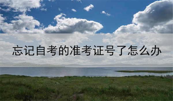 忘记自考的准考证号了怎么办