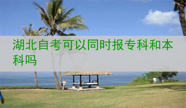 湖北自考可以同时报专科和本科吗
