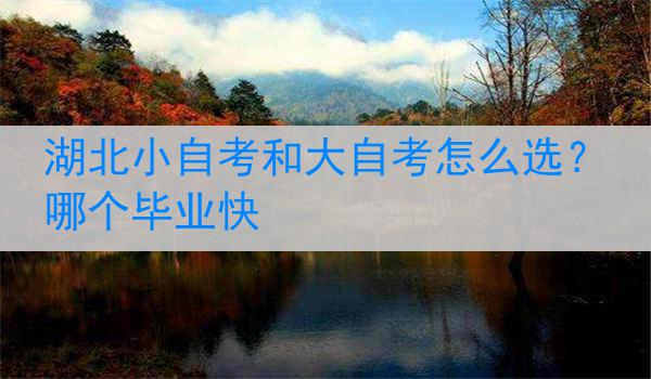 湖北小自考和大自考怎么选？哪个毕业快