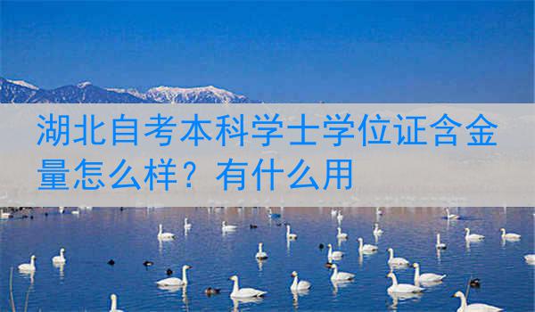 湖北自考本科学士学位证含金量怎么样？有什么用
