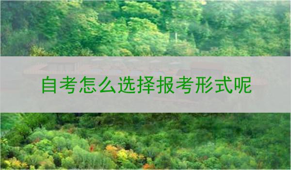 自考怎么选择报考形式呢