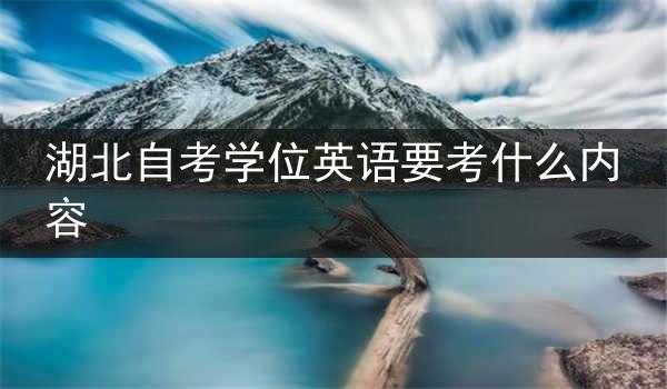 湖北自考学位英语要考什么内容