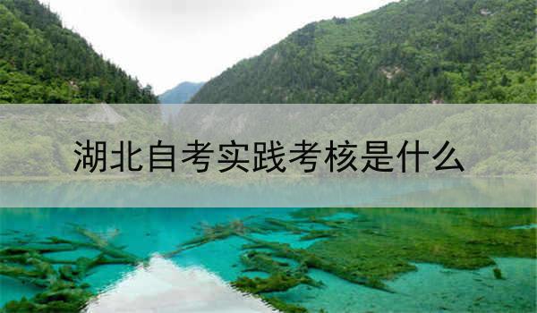 湖北自考实践考核是什么