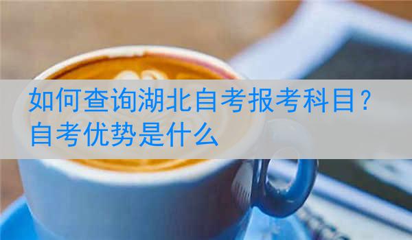 如何查询湖北自考报考科目？自考优势是什么