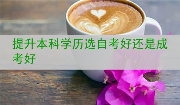 提升本科学历选自考好还是成考好