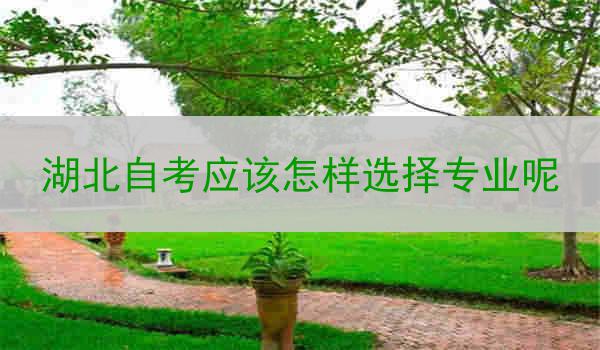 湖北自考应该怎样选择专业呢