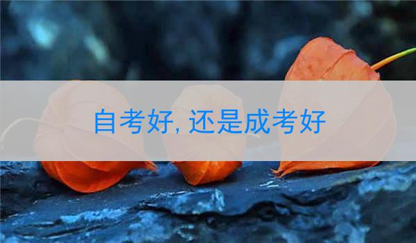 自考好,还是成考好