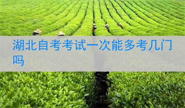 湖北自考考试一次能多考几门吗
