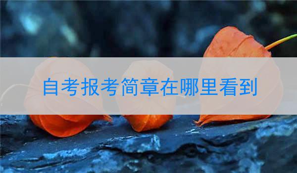 自考报考简章在哪里看到