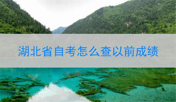 湖北省自考怎么查以前成绩