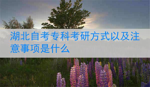 湖北自考专科考研方式以及注意事项是什么