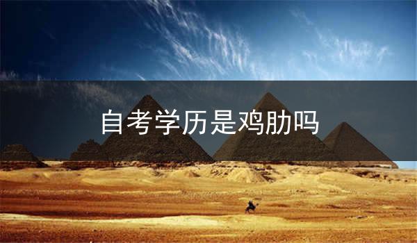 自考学历是鸡肋吗