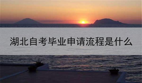 湖北自考毕业申请流程是什么