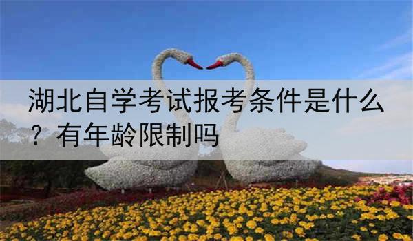 湖北自学考试报考条件是什么？有年龄限制吗