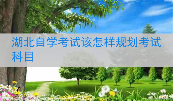 湖北自学考试该怎样规划考试科目