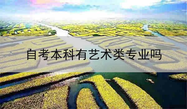 自考本科有艺术类专业吗