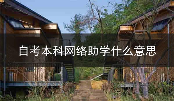 自考本科网络助学什么意思