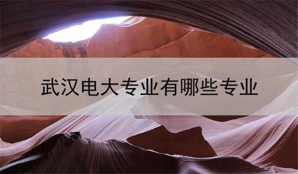 武汉电大专业有哪些专业
