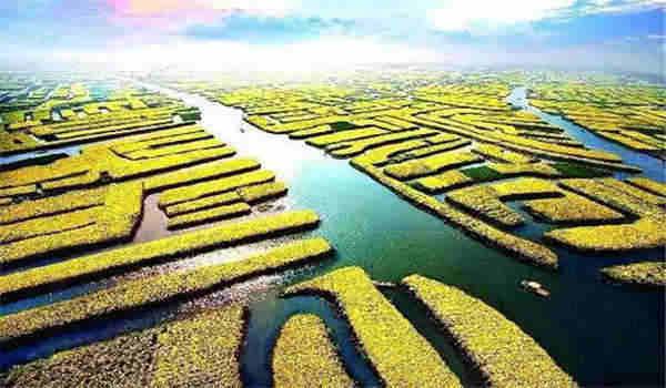 武汉电大是什么学校的简称