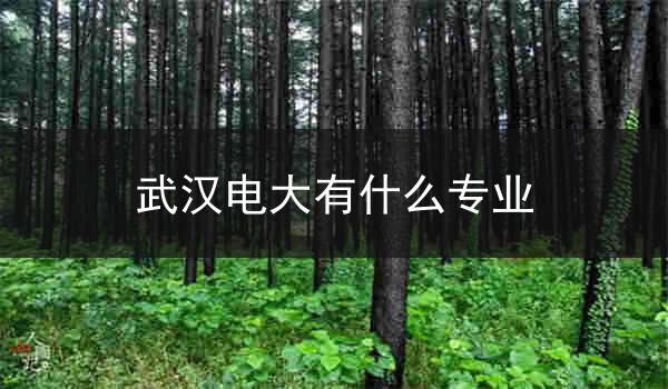 武汉电大有什么专业