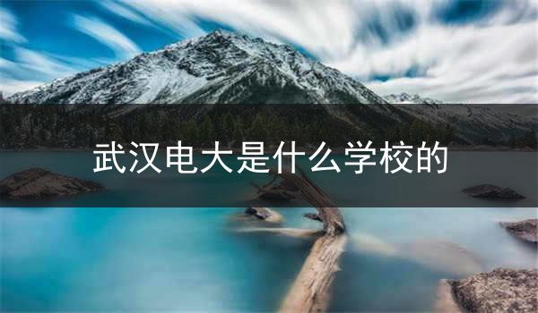 武汉电大是什么学校的