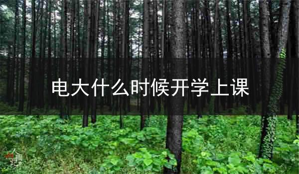 电大什么时候开学上课