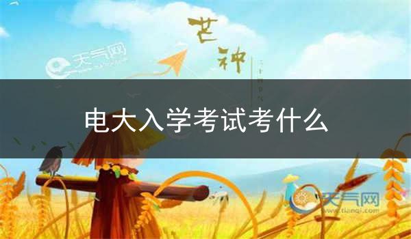 电大入学考试考什么