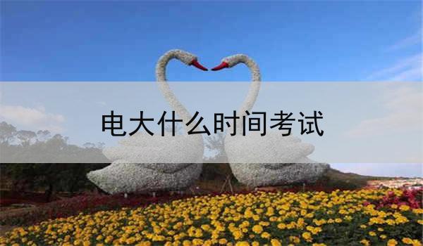电大什么时间考试