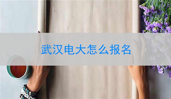 武汉电大怎么报名