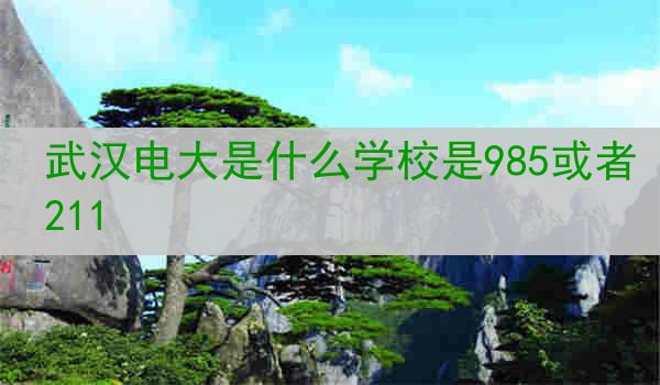武汉电大是什么学校是985或者211