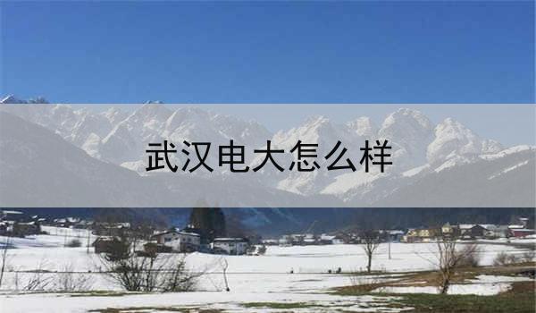 武汉电大怎么样